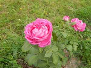 DSCN4080.JPG