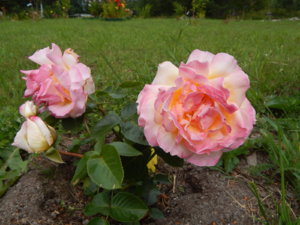 DSCN3659.JPG