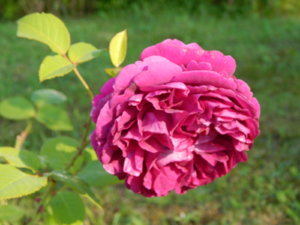 DSCN3264.JPG