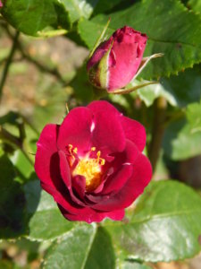 DSCN3451.JPG