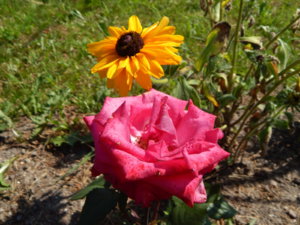 DSCN3496.JPG