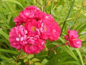 DSCN3589.JPG
