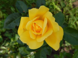 DSCN3627.JPG