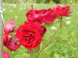 DSCN3048.JPG