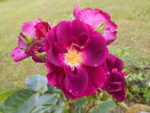 DSCN3068.JPG