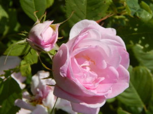 DSCN2977.JPG