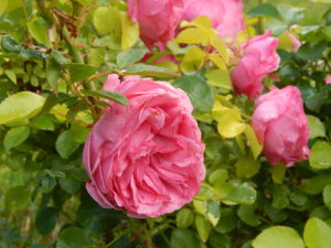 DSCN2491.JPG