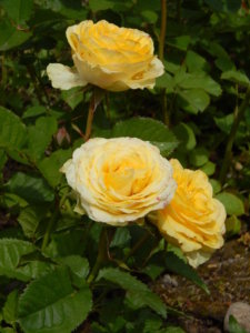 DSCN2574.JPG