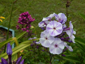 DSCN3670.JPG