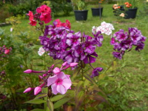 DSCN3744.JPG