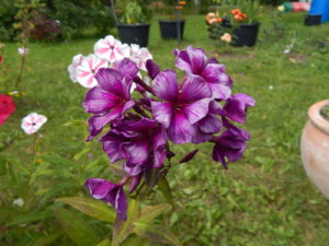 DSCN3747.JPG