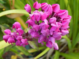 DSCN3843.JPG