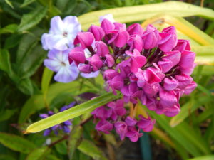 DSCN3844.JPG