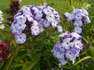 DSCN3848.JPG