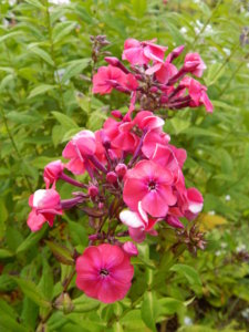 DSCN3925.JPG