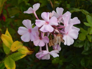 DSCN3988.JPG