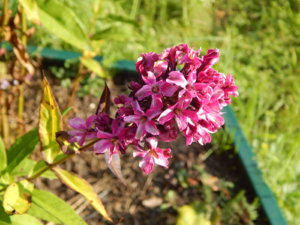 DSCN9439.JPG