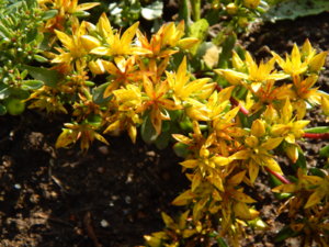 DSCN9395.JPG