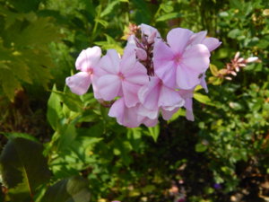 DSCN3170.JPG