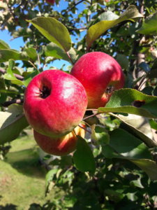 20190829_134736.jpg