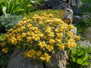 lbXSiS-eq90.jpg