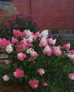 IMG_20190831_204445.jpg