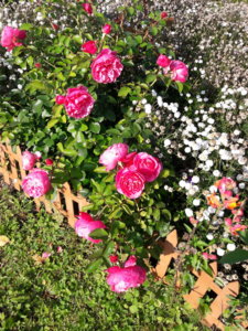 20190909_143357.jpg
