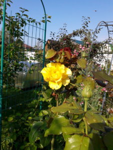 20190909_143437.jpg