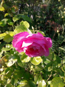 20190909_143508.jpg