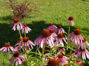 DSCN9644.JPG