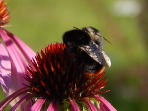 DSCN9648.JPG
