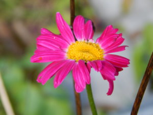 DSCN9636.JPG