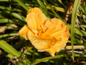 DSCN9660.JPG
