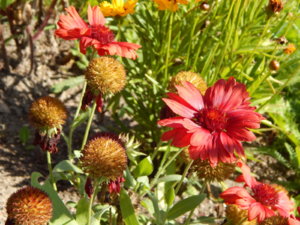 DSCN9703.JPG
