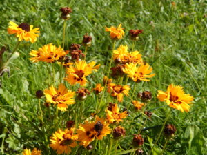 DSCN9704.JPG
