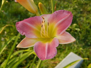DSCN9770.JPG