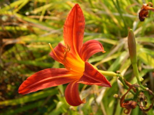 DSCN9771.JPG