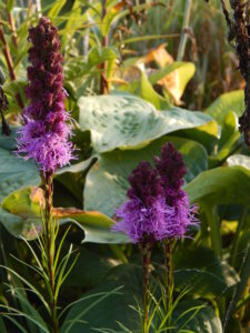 DSCN9773.JPG