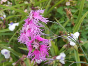 DSCN9859.JPG