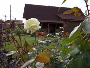 IMG_20190914_122720.jpg