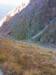 IMG_20181008_090942.jpg