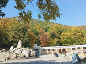 IMG_20181009_133706.jpg