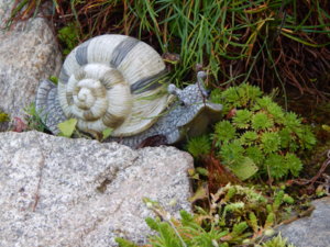DSCN0135.JPG