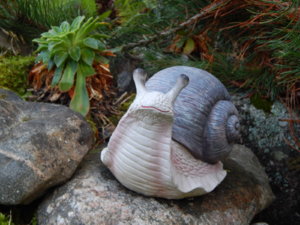 DSCN0136.JPG