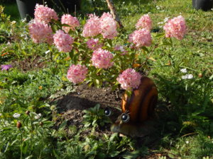 DSCN9902.JPG