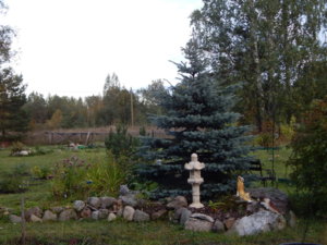 DSCN0172.JPG