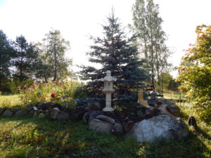 DSCN9892.JPG