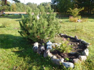 DSCN9895.JPG