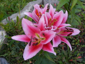 DSCN0084.JPG