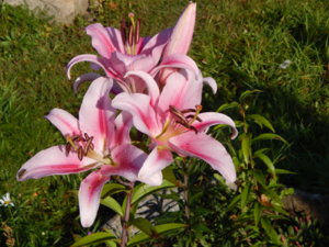 DSCN9894.JPG
